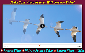 Reverse Video تصوير الشاشة 4