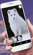 Layar Kunci White Fox screenshot 2