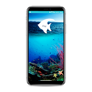 Captain Hook 포스터