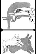 Hand Shadow Tricks screenshot 5