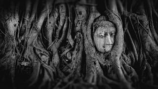 Tile Puzzles · Asia imagem de tela 4