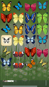 Schmetterling Memory Match Screenshot 1