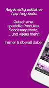 dampftbeidir.de スクリーンショット 1