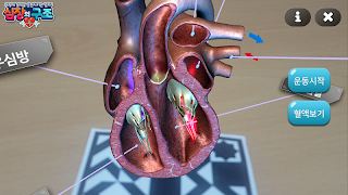 심장의 구조 截圖 1