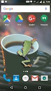 Poster Frog On Screen - Funny Prank