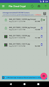 File Cloud Crypt - File and Cloud Encryption скриншот 1