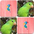 Game Memori Anak-Anak
