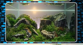 Projeto do Aqua Scape imagem de tela 5