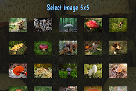 Tile Puzzles · Mushrooms 스크린샷 4