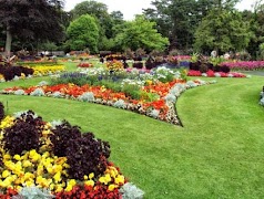Flower Garden اسکرین شاٹ 6