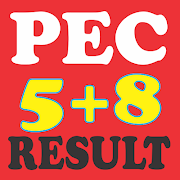 PEC Result 2018 Ekran Görüntüsü 1