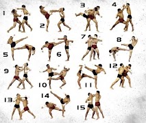 Self defense تصوير الشاشة 5