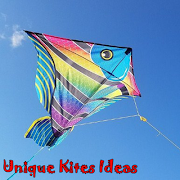 Unique Kites Ideas poster