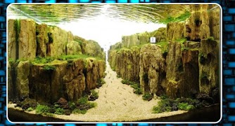 برنامهنما Aqua Scape Design عکس از صفحه