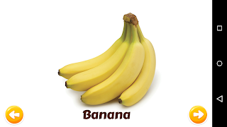 Fruits and Vegetables скриншот 2