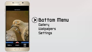 隱藏的相機 截圖 2