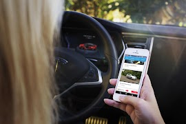 Real Driving Lessons اسکرین شاٹ 2