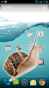 Snail on screen screenshot 1