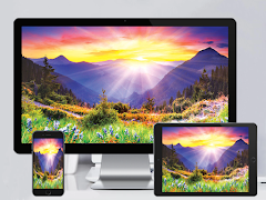 Screen Mirroring screenshot 4