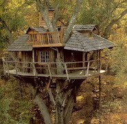 پوستر Tree House Design