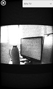 Video Web Camera FX 截圖 2