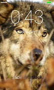 Wolf Lock Screen screenshot 4