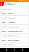 WebRTC Tutorial Screenshot 1