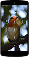 Bird Keypad Lock Screen スクリーンショット 2