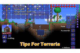 Poster Tipsfor Terraria 2018