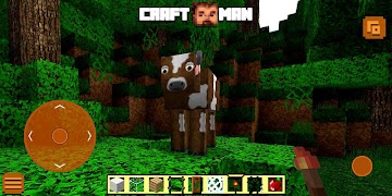 CraftMan imagem de tela 6