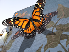 Philly Insects AR 스크린샷 4