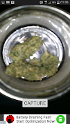 Weed Scanner اسکرین شاٹ 2