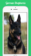 German Shepherds captura de pantalla 1