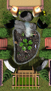 Zen Pond Affiche