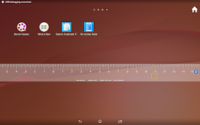 Liniaal op het Scherm screenshot 6