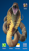 Snake Screen screenshot 2