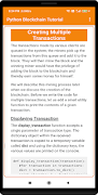 Python Blockchain Tutorial 截图 2