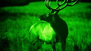 ナイトビジョンカメラ スクリーンショット 3