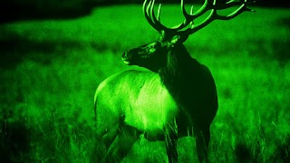 Night Vision Camera screenshot 3