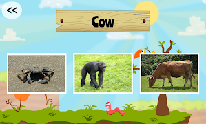 Learning Animals screenshot 3