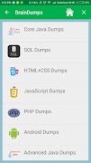 BrainDumps 포스터