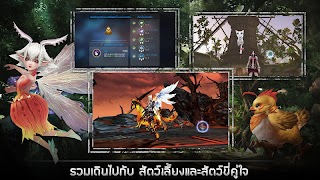 برنامهنما Sword and Magic عکس از صفحه