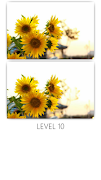 encontrar las diferencias Poster