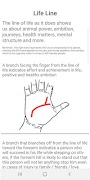 Palm Reading Guide imagem de tela 2