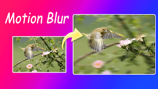 Automatic Blur Background скриншот 5