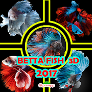 Betta Fish 3D 2017 ภาพหน้าจอ 6