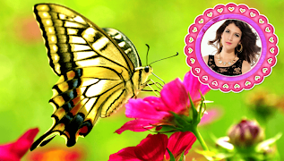 Butterfly Frames imagem de tela 3