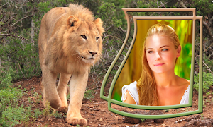 Lion Photo Frames poster