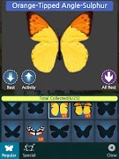 Tap Tap Tree screenshot 3