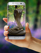 Cobra Snake on Phone Prank imagem de tela 4